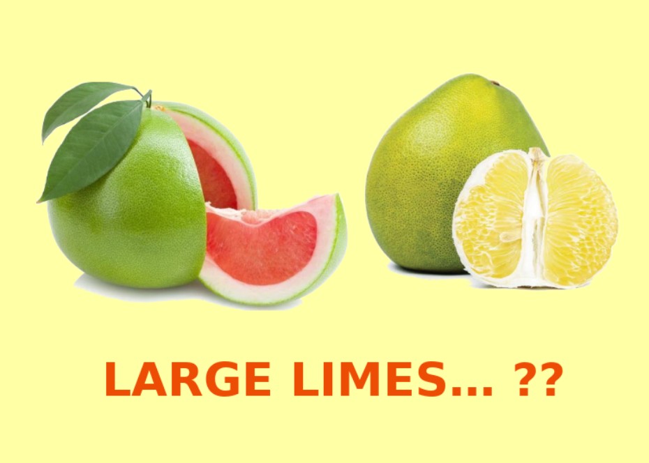 Large.Limes